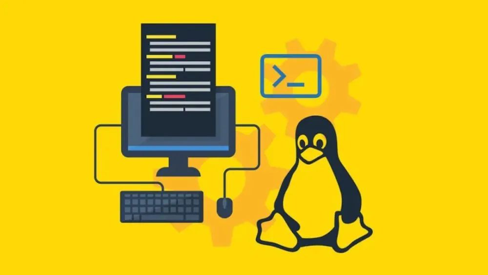 Linux Shell脚本教程：实时监控CPU与内存利用率-山海云端论坛