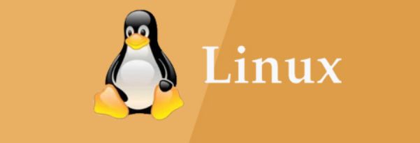 Linux如何查看网卡速率(Linux查看网卡速率命令)-山海云端论坛