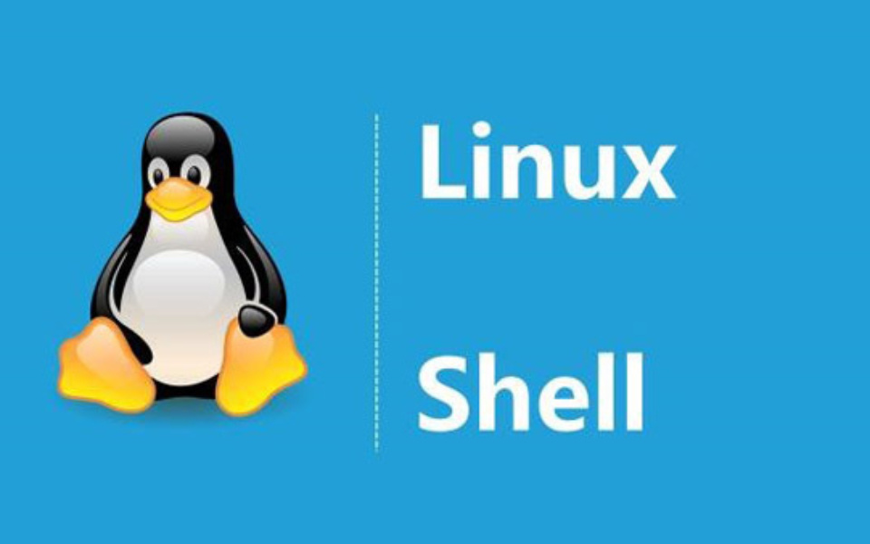 Linux Shell脚本编写实践：如何根据用户名查询用户相关信息-山海云端论坛