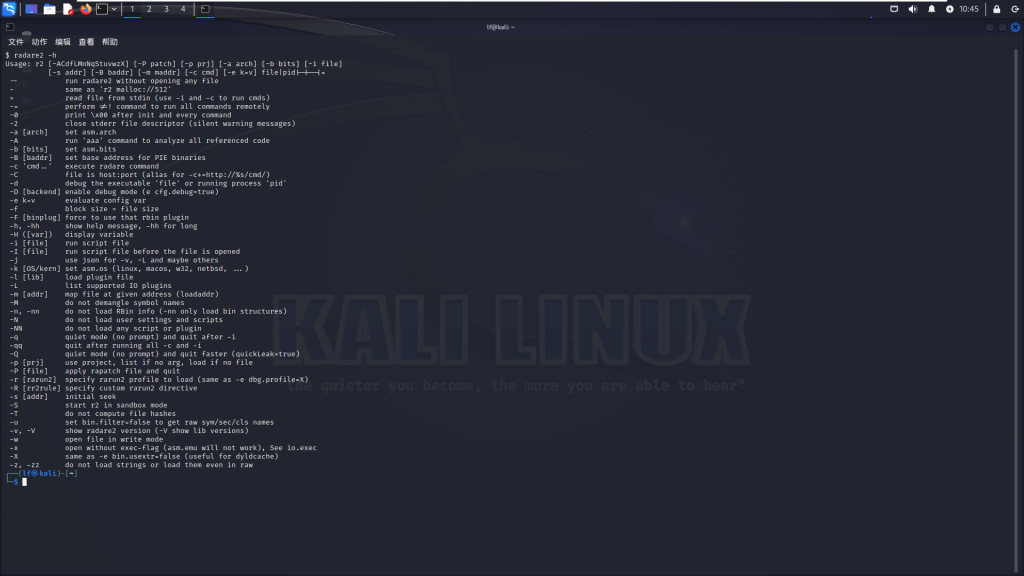Kali Linux Radare2教程：使用Radare2进行逆向工程和漏洞分析的全面指南-山海云端论坛