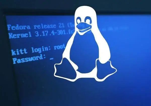 Linux Shell脚本编写指南：创建自动备份系统-山海云端论坛