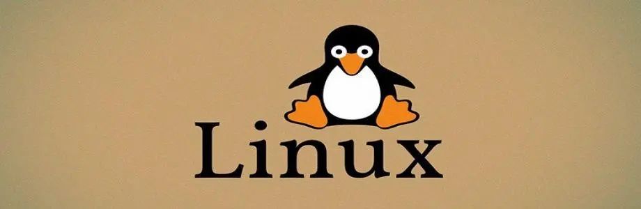 Linux如何查看Tomcat进程(Linux查看Tomcat进程命令)-山海云端论坛