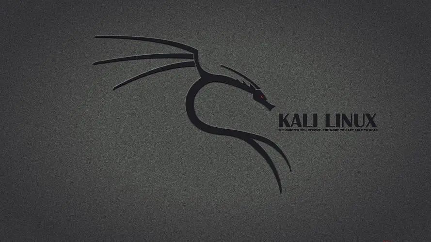 kali Linux如何安装kde(Kali Linux KDE安装指南)-山海云端论坛