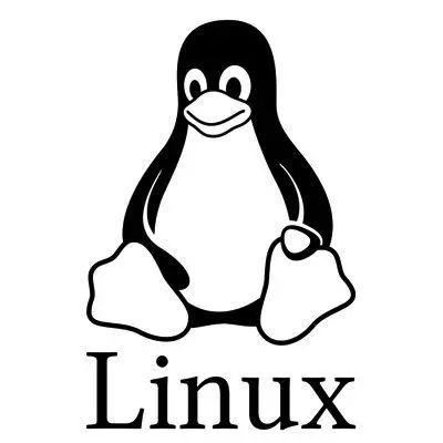 Linux查找以字母a开头f结尾的文件-山海云端论坛