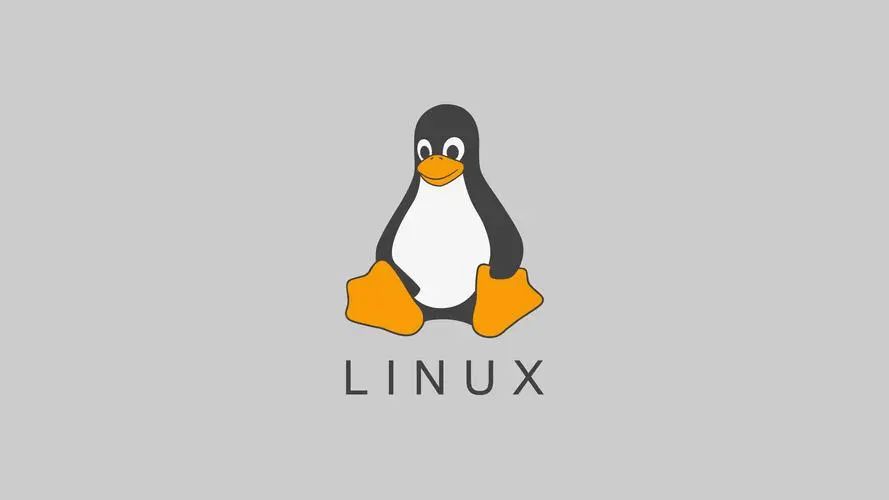 Linux Shell脚本应用深入：扫描主机端口状态实战指南-山海云端论坛