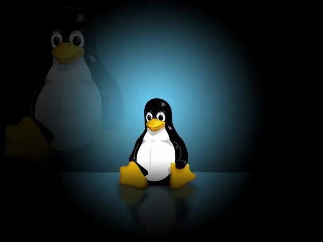 Linux自动补全历史命令(Linux命令自动补全技巧详解)-山海云端论坛