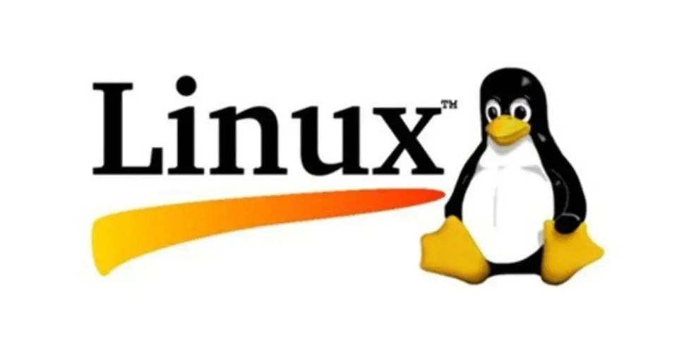Linux Shell脚本实战：自动化磁盘I/O性能检测-山海云端论坛
