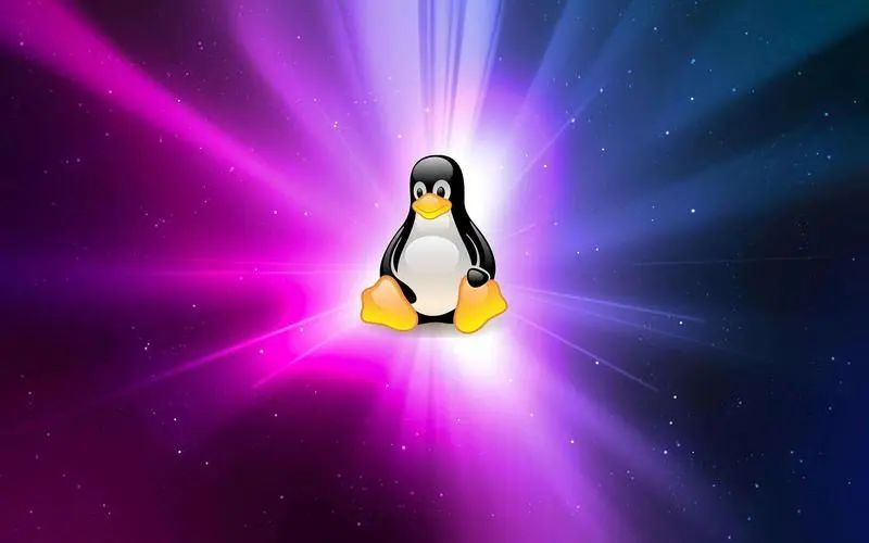 Linux Shell脚本教程：批量创建多个用户并设置密码-山海云端论坛