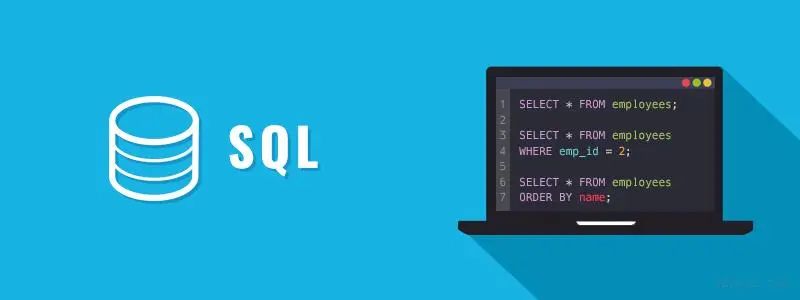 SQL通配符详解：高效搜索和匹配数据的关键技巧-山海云端论坛