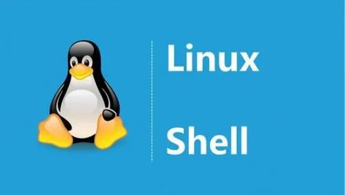 linux shell编程实验报告-山海云端论坛