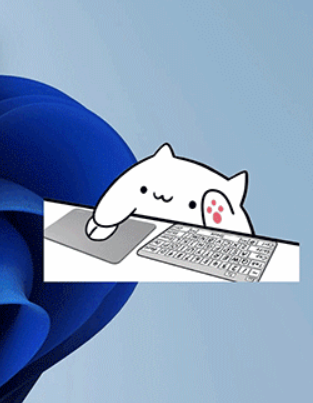 Bongo Cat v0.1.6 免费桌面宠物软件：鼠标键盘同步互动，萌趣十足！-山海云端论坛