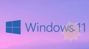 Windows 11本地账户注销步骤详解-山海云端论坛