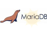 配置Debian 10上的MySQL (MariaDB) 主从复制-山海云端论坛
