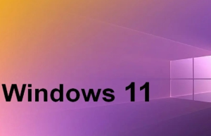 Windows 11 BitLocker恢复密钥备份：详细教程-山海云端论坛