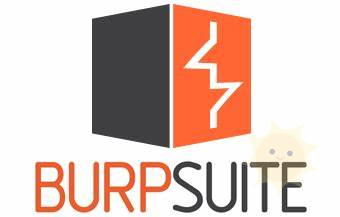 BurpSuite 渗透测试辅助小工具-山海云端论坛